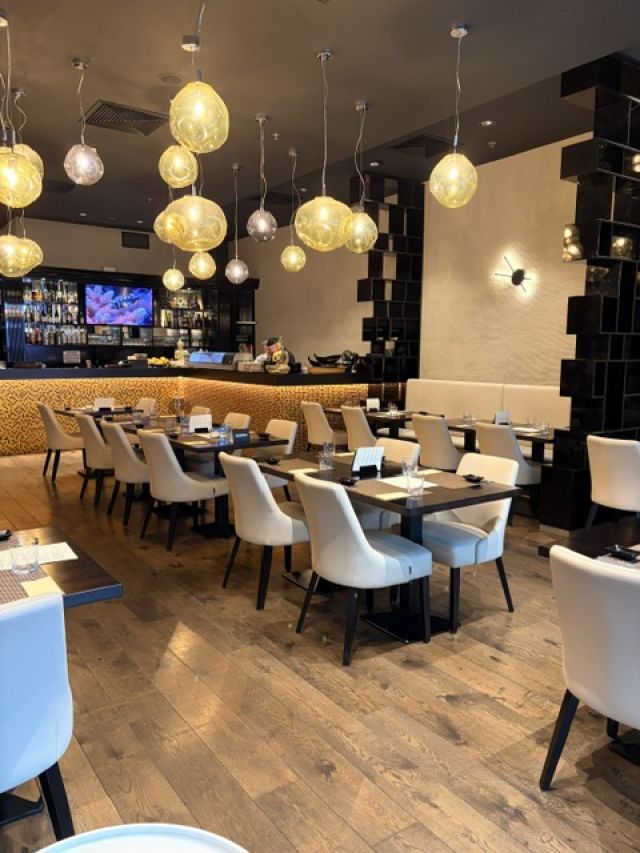 Sushi Noodles OC Mod�ice