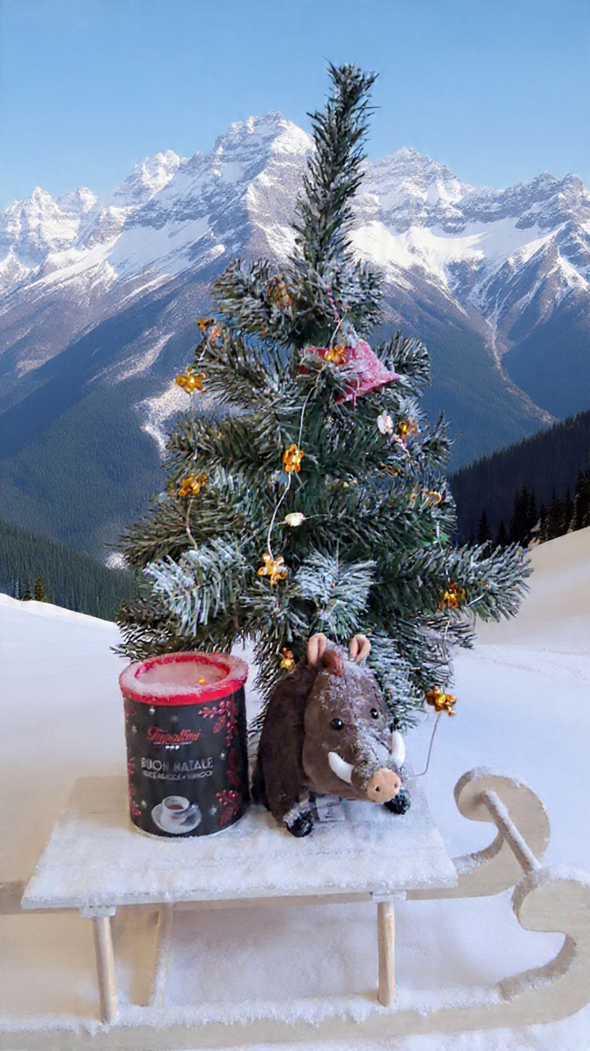 Pizza Pes Ulici v Krnov